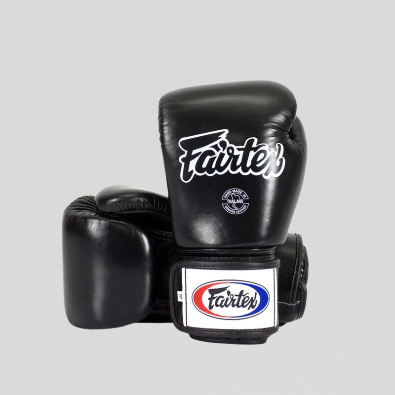 Fairtex BGV1 Boxing Gloves – Black
