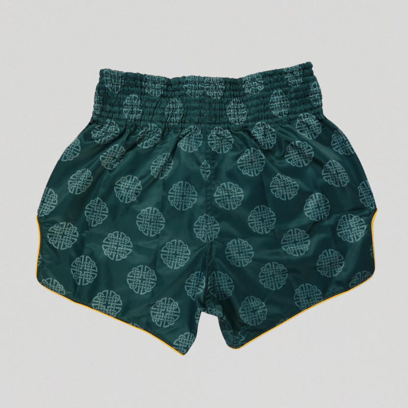 Fairtex BS1915 CLUBBER Muay Thai Shorts